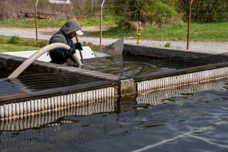 The Ultimate Guide to Septic Tank Cleaning