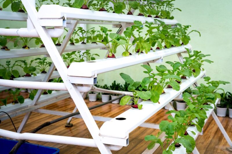 Unlocking the Potential of Aquaponics Kits for Sustainable Gardening
