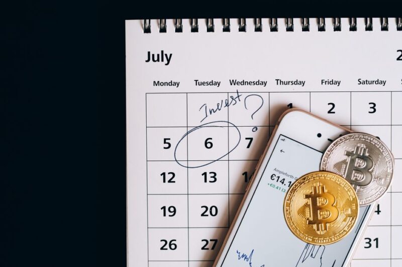 Exploring the Dynamics of Bitcoin Investment