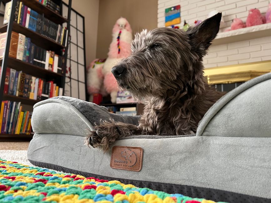 pet boarding facility