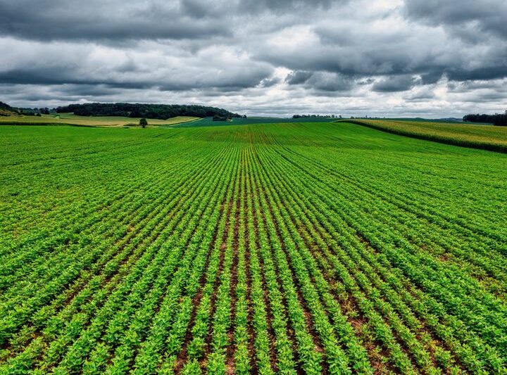 Understanding the Importance of Crop Insurance for Farmers