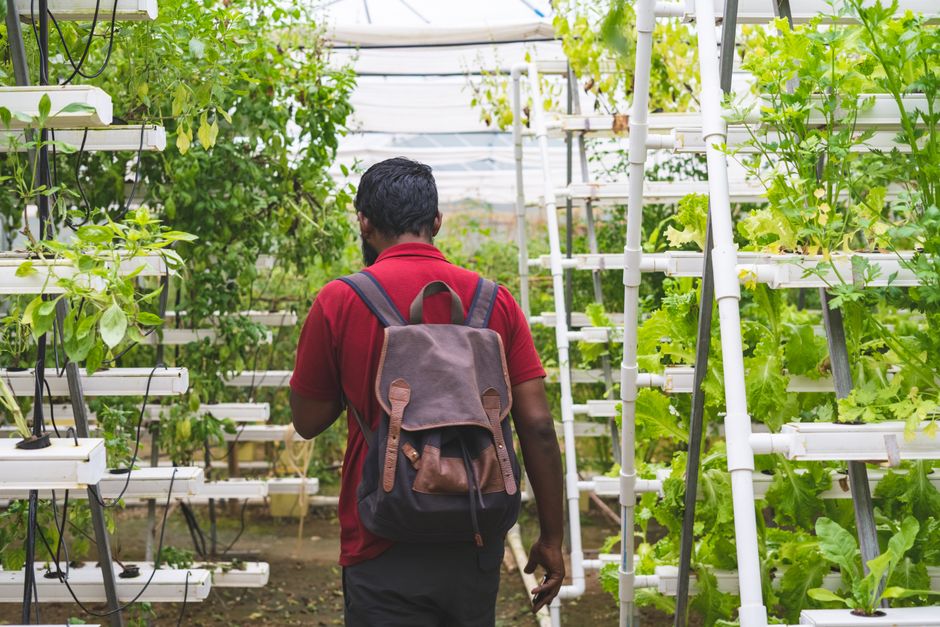 vertical farming technology