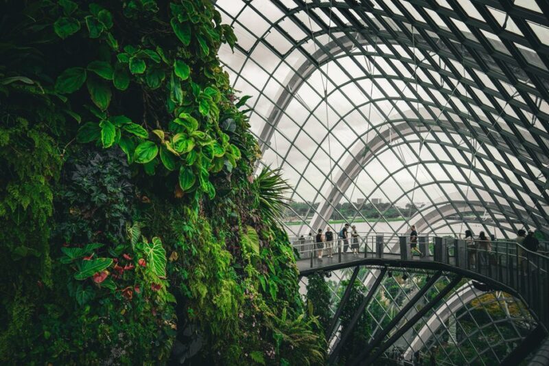 The Future of Eco-Friendly Design: Sustainable Architecture Firms
